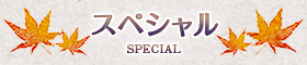 スペシャル -special-